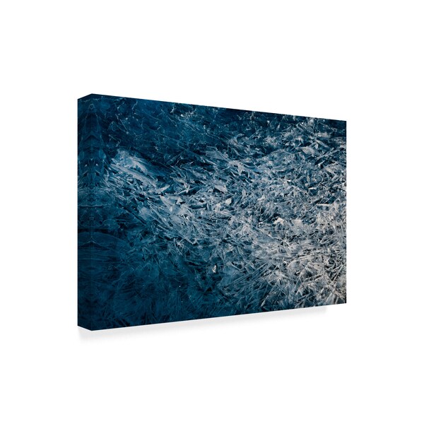 Darlene Hewson 'Moody Blue' Canvas Art,22x32